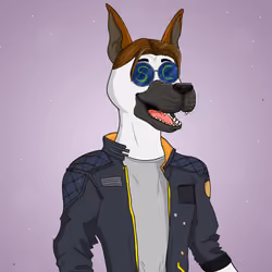 Party Dog #859