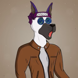 Party Dog #809