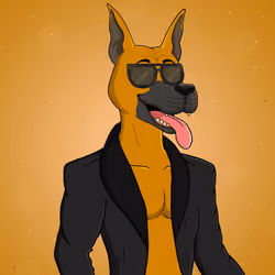Party Dog #884
