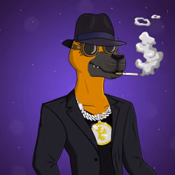 Party Dog #704