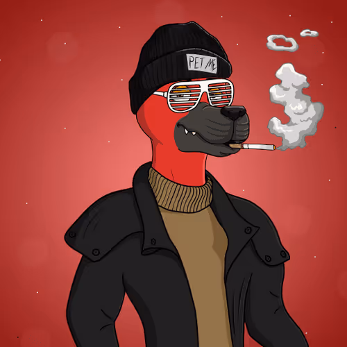 Party Dog #1244