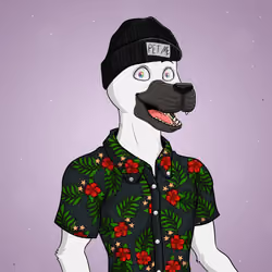 Party Dog #897