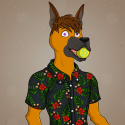 Party Dog #1891