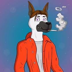 Party Dog #497