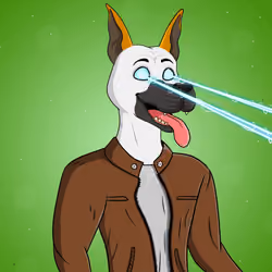Party Dog #583