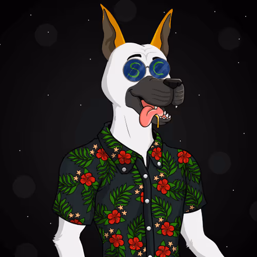 Party Dog Social Club V2