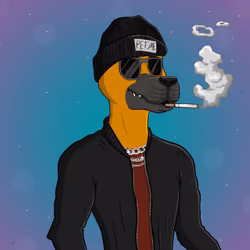 Party Dog #2823