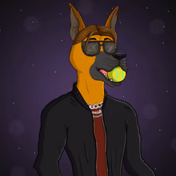 Party Dog #2577