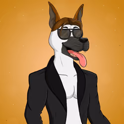 Party Dog #1765