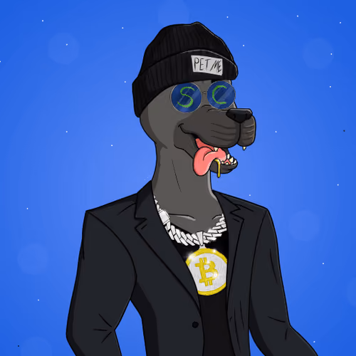 Party Dog #1457