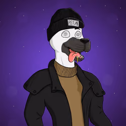 Party Dog #1768