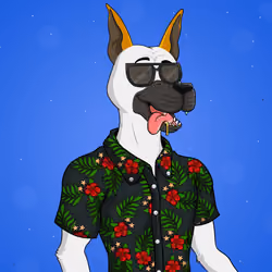 Party Dog #2764