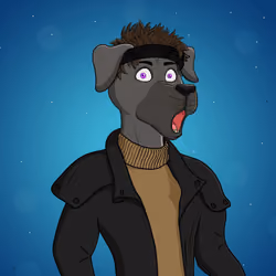 Party Dog #572