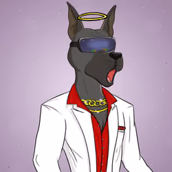 Party Dog #553