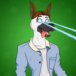 Party Dog #1238