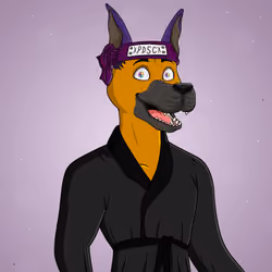Party Dog #2374