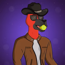 Party Dog #1576