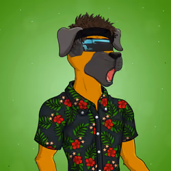 Party Dog #2155