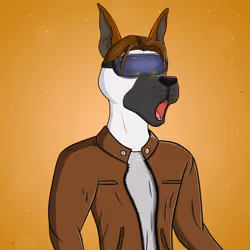 Party Dog #1384