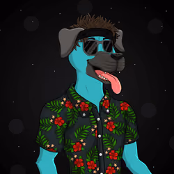 Party Dog #513