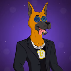 Party Dog #1243