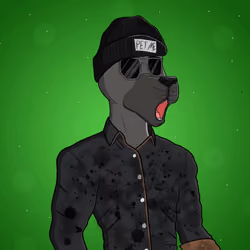 Party Dog #672