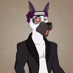 Party Dog #376