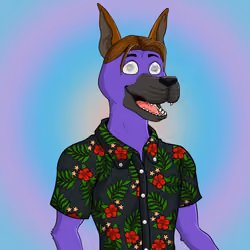 Party Dog #108