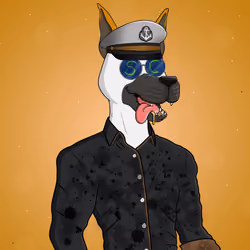 Party Dog #1569