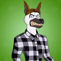 Party Dog #170