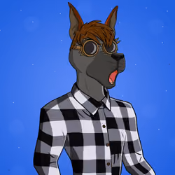 Party Dog #375