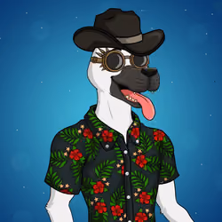Party Dog #105
