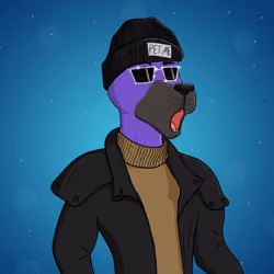 Party Dog #357