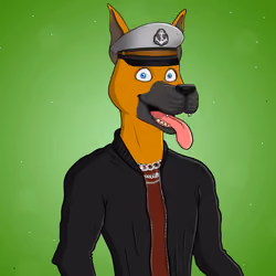 Party Dog #1345