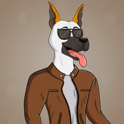 Party Dog #885