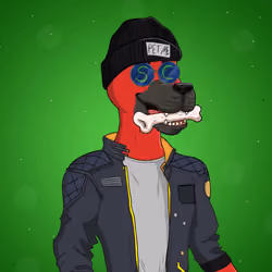 Party Dog #1570