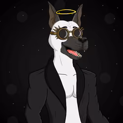 Party Dog #2487