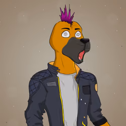 Party Dog #1568