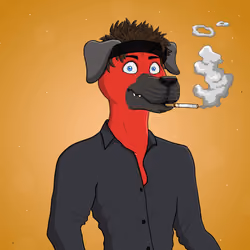 Party Dog #1894