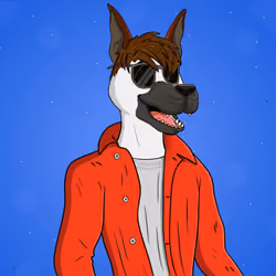 Party Dog #735