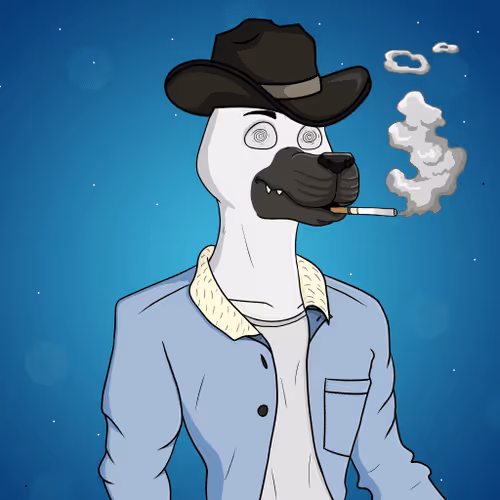 Party Dog #370