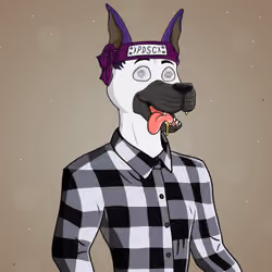 Party Dog #327