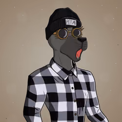 Party Dog #1664