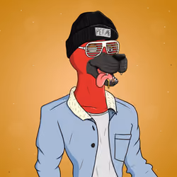 Party Dog #1666