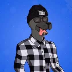 Party Dog #1058