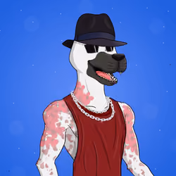Party Dog #1781