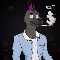 Party Dog #894