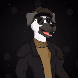 Party Dog #1293
