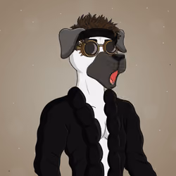 Party Dog #404