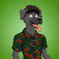 Party Dog #2269